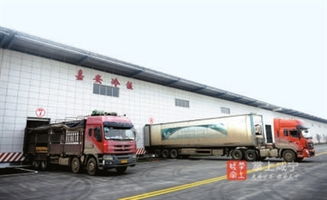 嘉鱼县嘉安物流园 冷链配送驱动下的现代物流新篇章