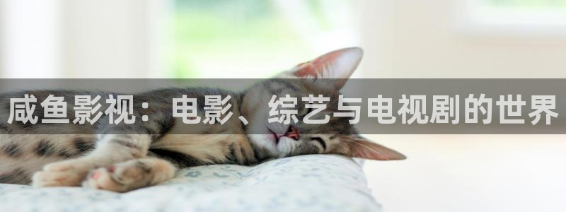 玖玖在线观看视频：咸鱼影视：电影、综艺与电视剧的世界