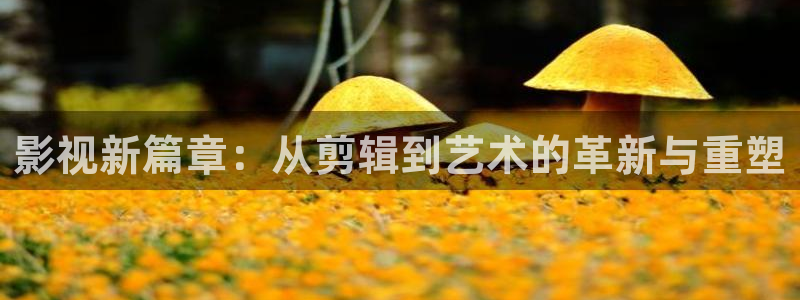 玖玖视频免费：影视新篇章：从剪辑到艺术的革新与重塑