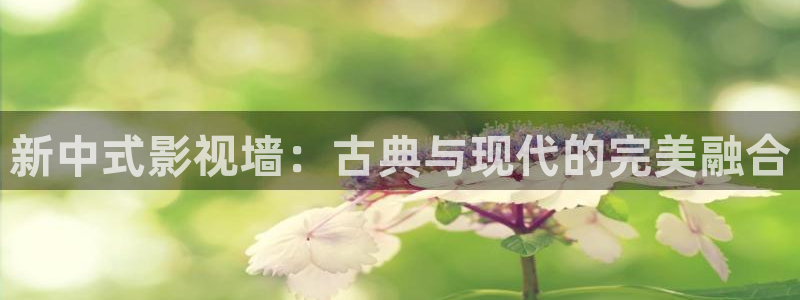 玖玖爱激情视频：新中式影视墙：古典与现代的完美融合
