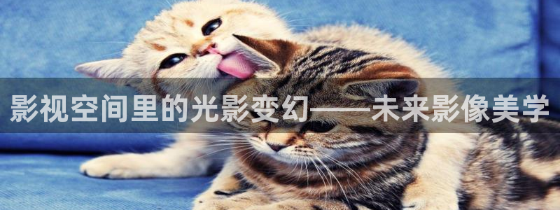 玖玖热视频在线：影视空间里的光影变幻——未来影像美学