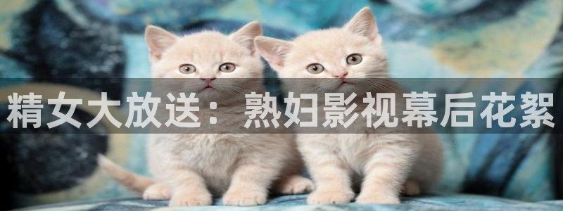 玖玖资源站365在线视频：精女大放送：熟妇影视幕后花絮