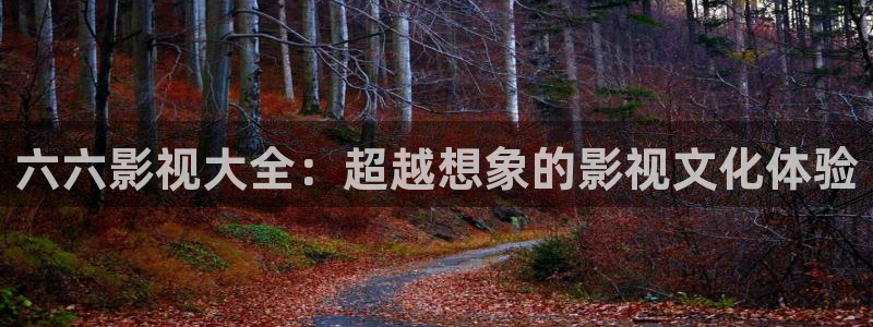 玖玖综合国产视频：六六影视大全：超越想象的影视文化体验