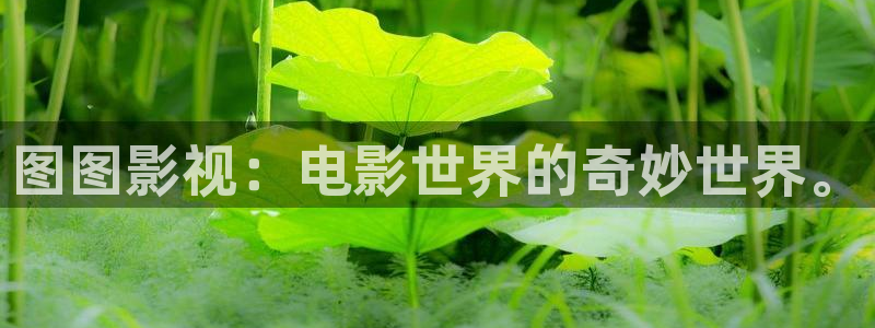 玖玖玖视频网站在线看：图图影视：电影世界的奇妙世界。