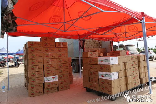 铜川甜美生活，‘樱’你而来 高效货物配送打造便捷品质生活