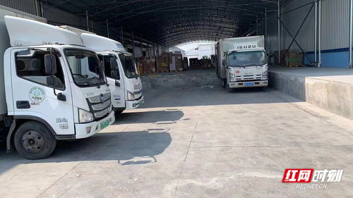 衡阳入选国家第三批绿色货运配送示范工程创建城市，助力物流业绿色发展