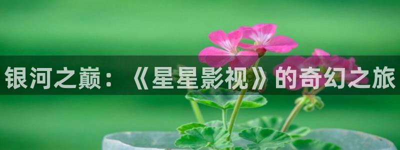 国产玖玖精品视频：银河之巅：《星星影视》的奇幻之旅