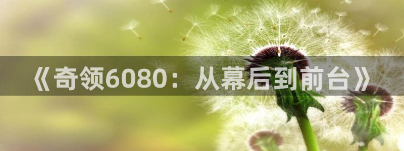 玖玖爱在线精品视频：《奇领6080：从幕后到前台》