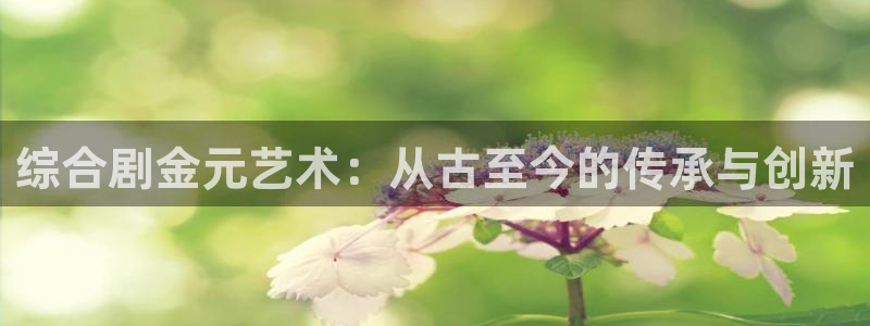 玖玖99视频：综合剧金元艺术：从古至今的传承与创新