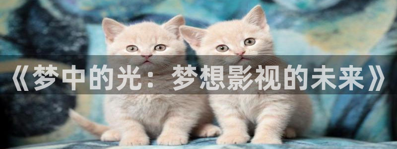亚洲玖玖综合视频：《梦中的光：梦想影视的未来》