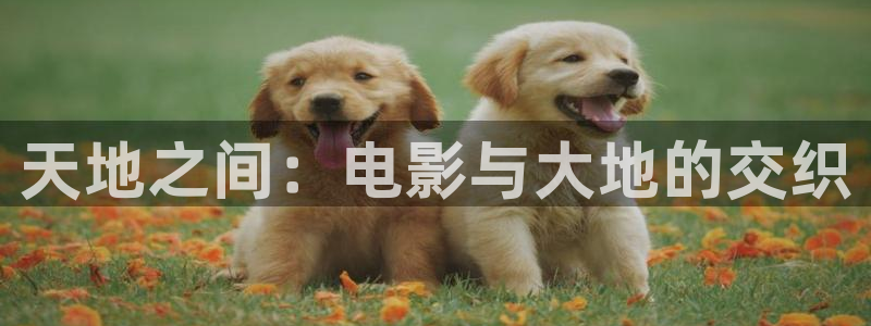 玖玖资源视频在线：天地之间：电影与大地的交织