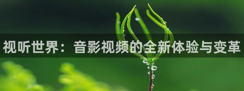.玖玖视频：视听世界：音影视频的全新体验与变革