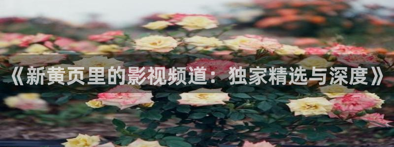99玖玖视频在线观看：《新黄页里的影视频道：独家精选与深度》